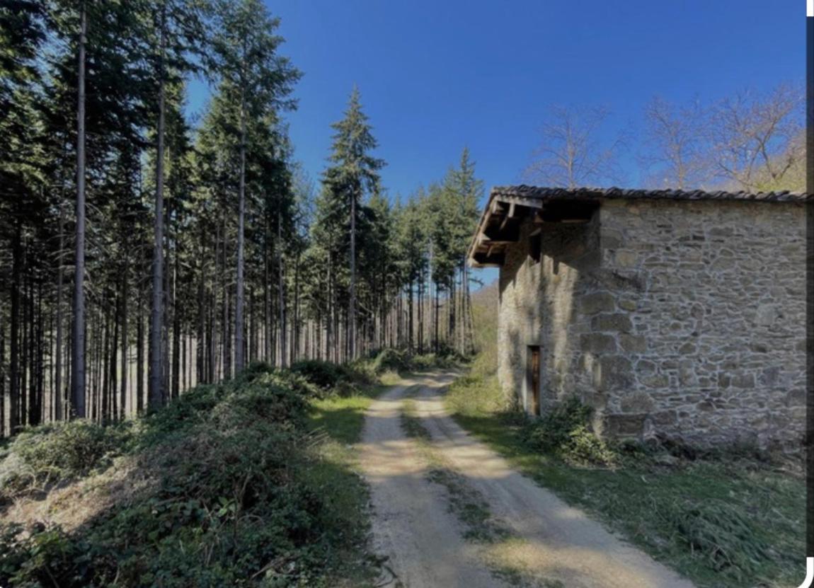 Villetta Mi Il Fabbro Exterior photo